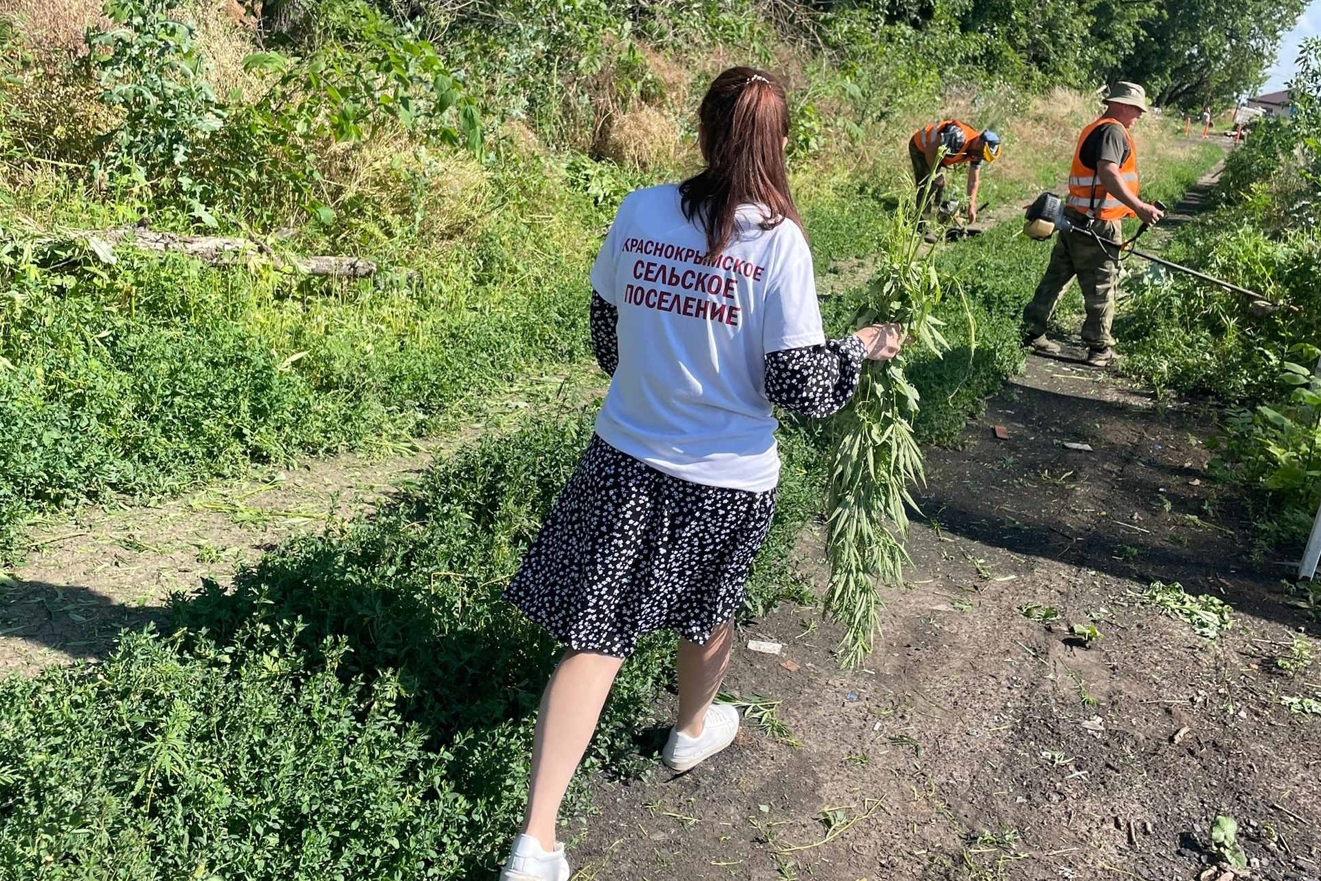 Подведены итоги первого этапа единого дня борьбы с дикорастущей коноплей