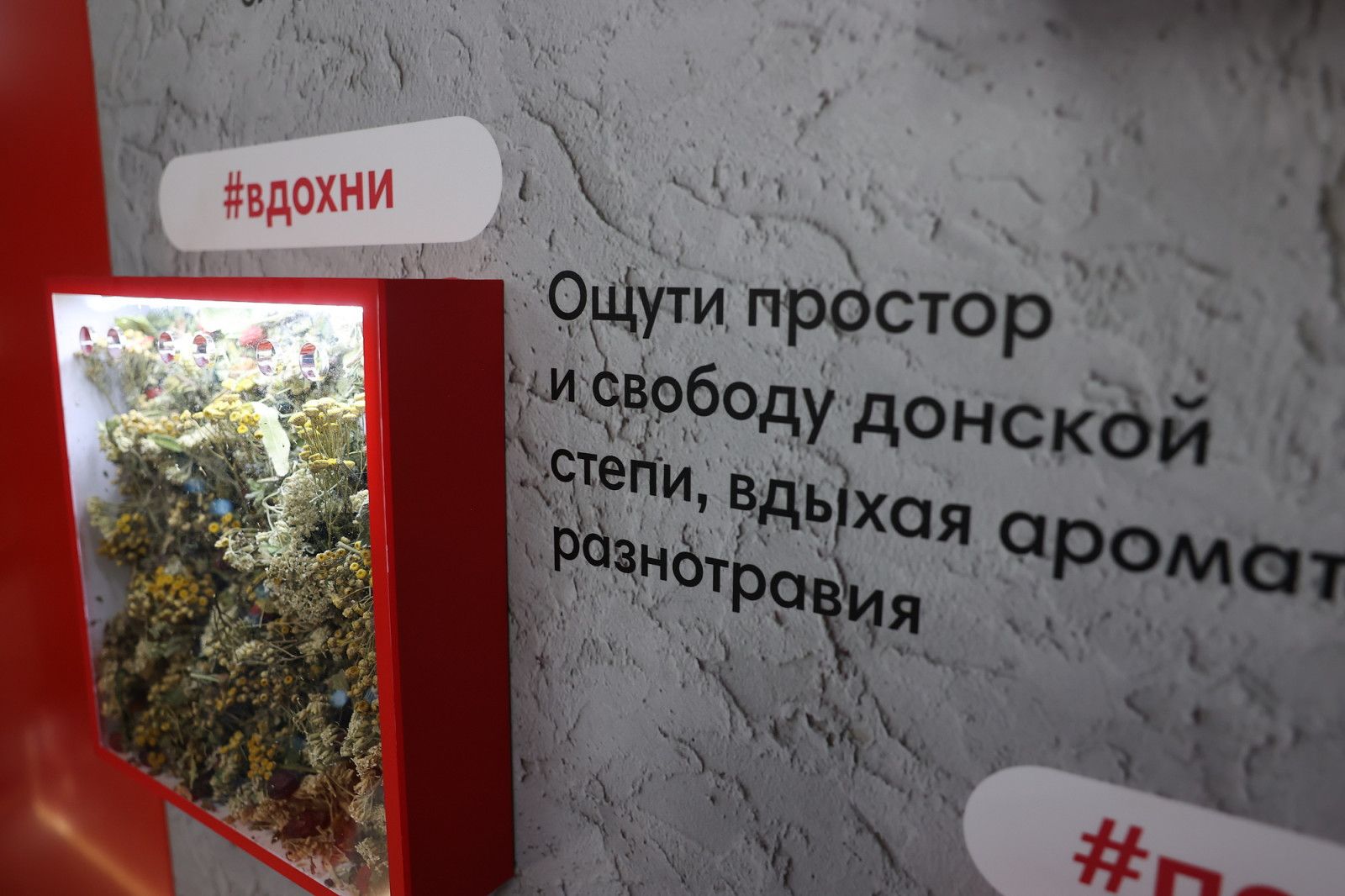 Региональная экспозиция партнёрского проекта Национального центра «Россия» приглашает посетителей