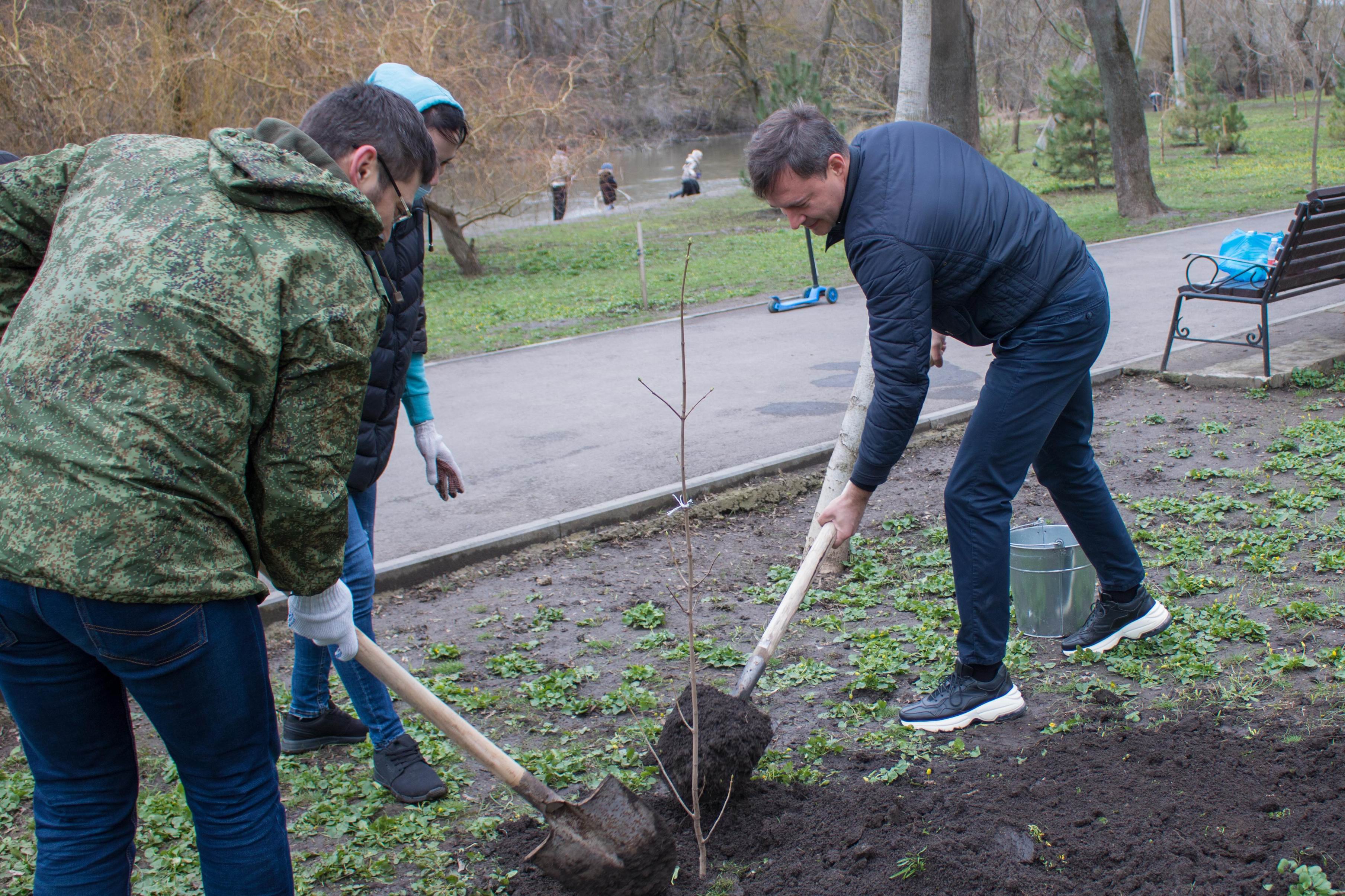 На Дону прошёл весенний День древонасаждений