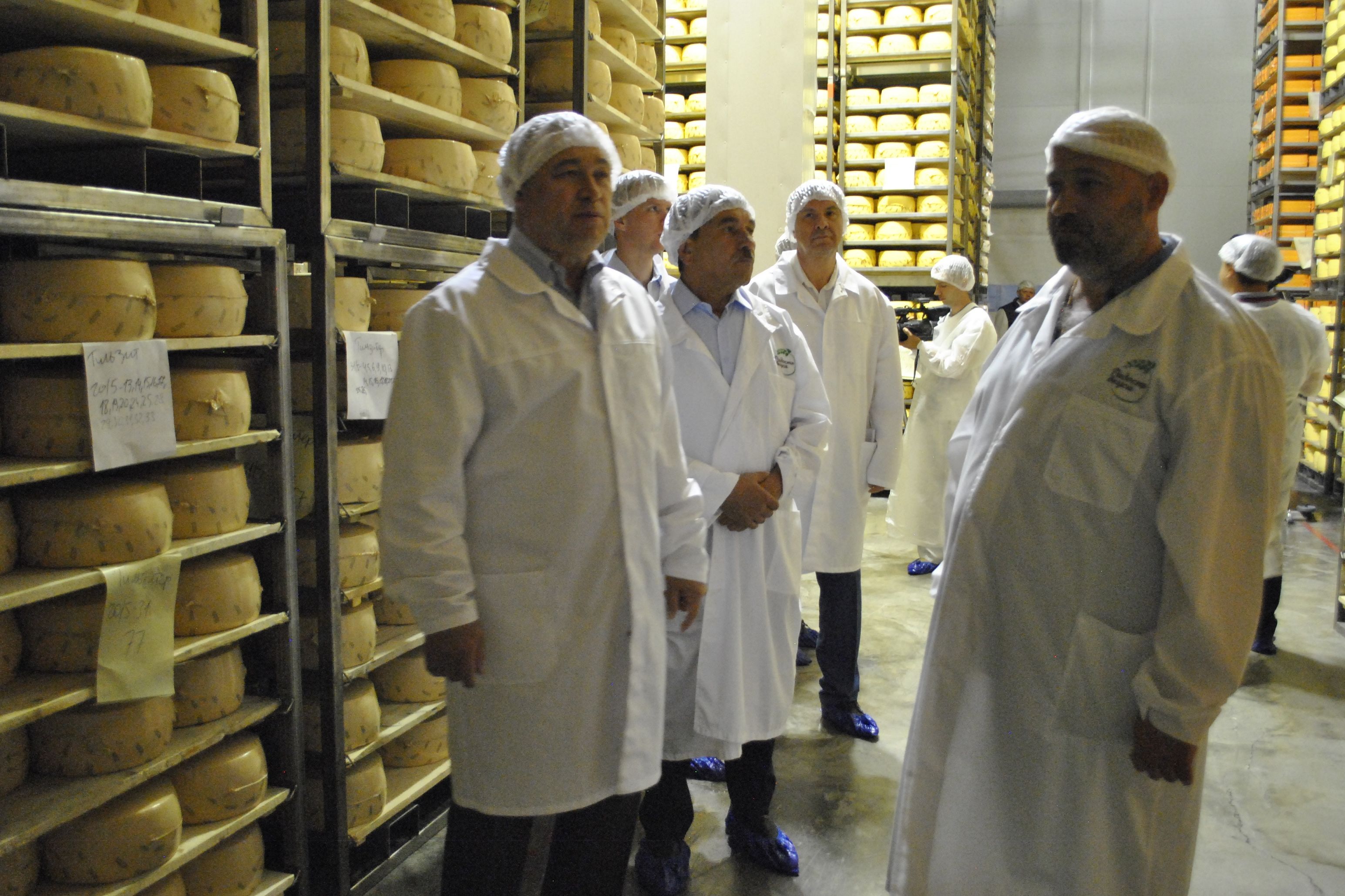 В Ростовской области растет производство молочной продукции