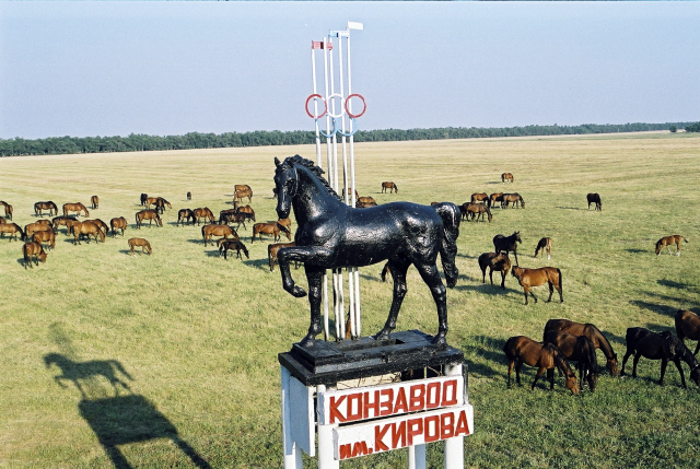 Кировский конный завод Кировский конный завод