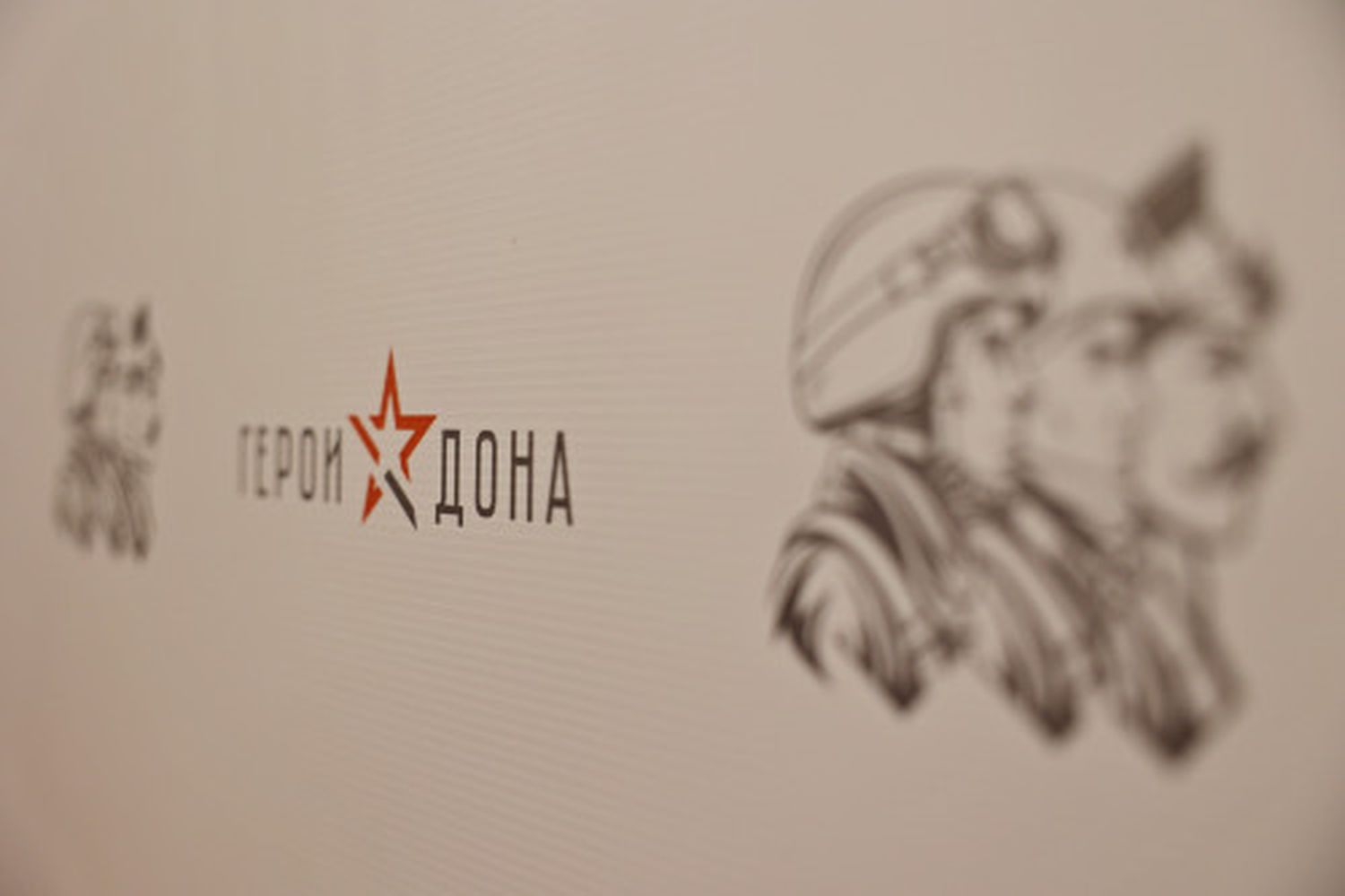 На участие в кадровой программе «Герои Дона» уже поступило более 800 заявок