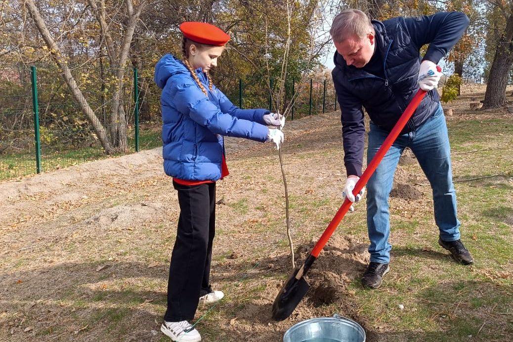 Осенний День древонасаждений и областной субботник