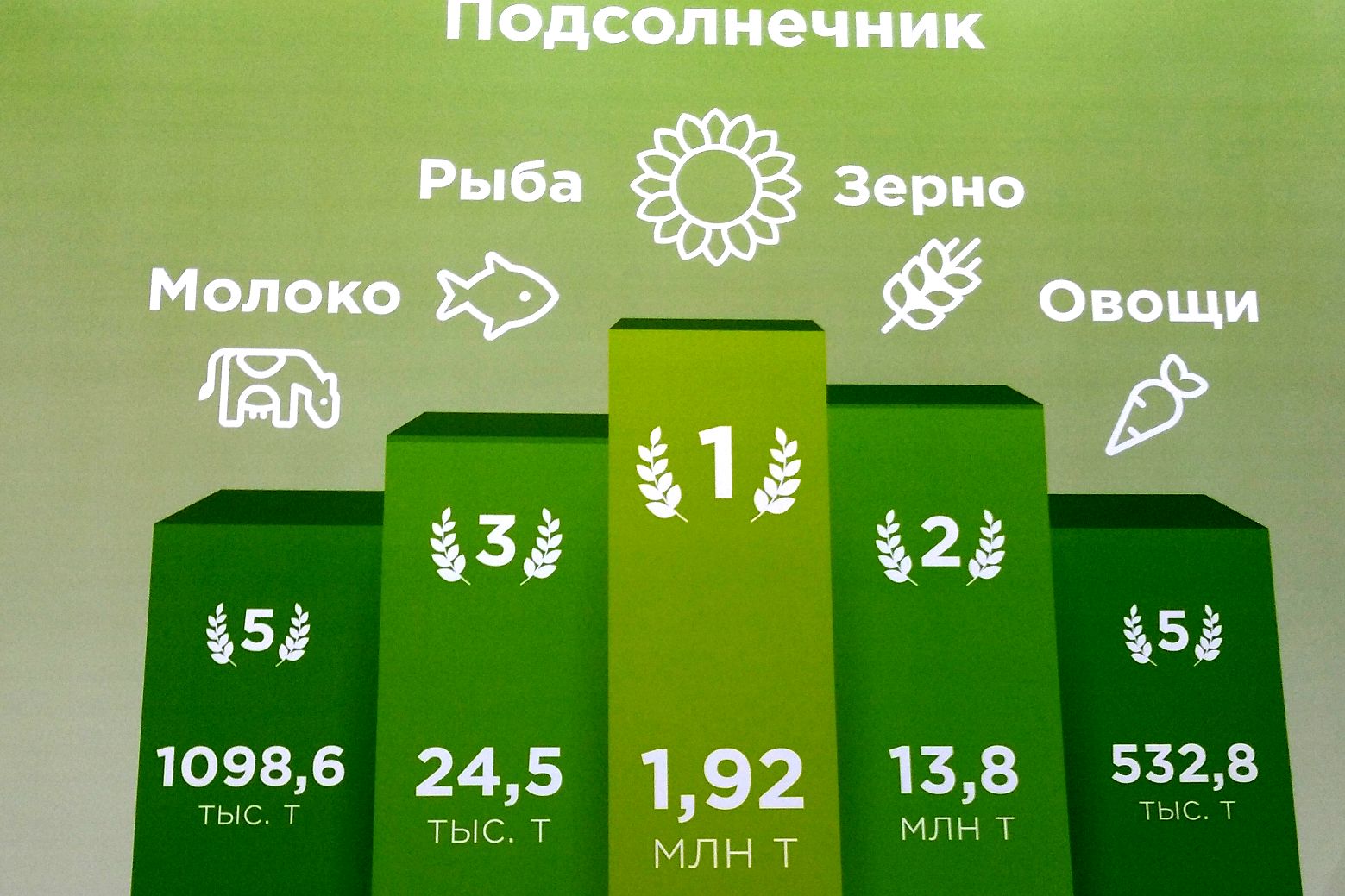 Участие делегации Ростовской области в 24-й Российской агропромышленной выставке «Золотая осень – 2022»