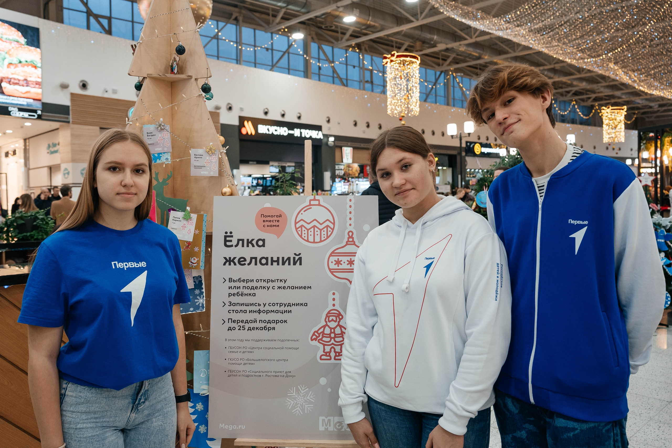 Ростовская область присоединилась к Всероссийской акции «Елка желаний»