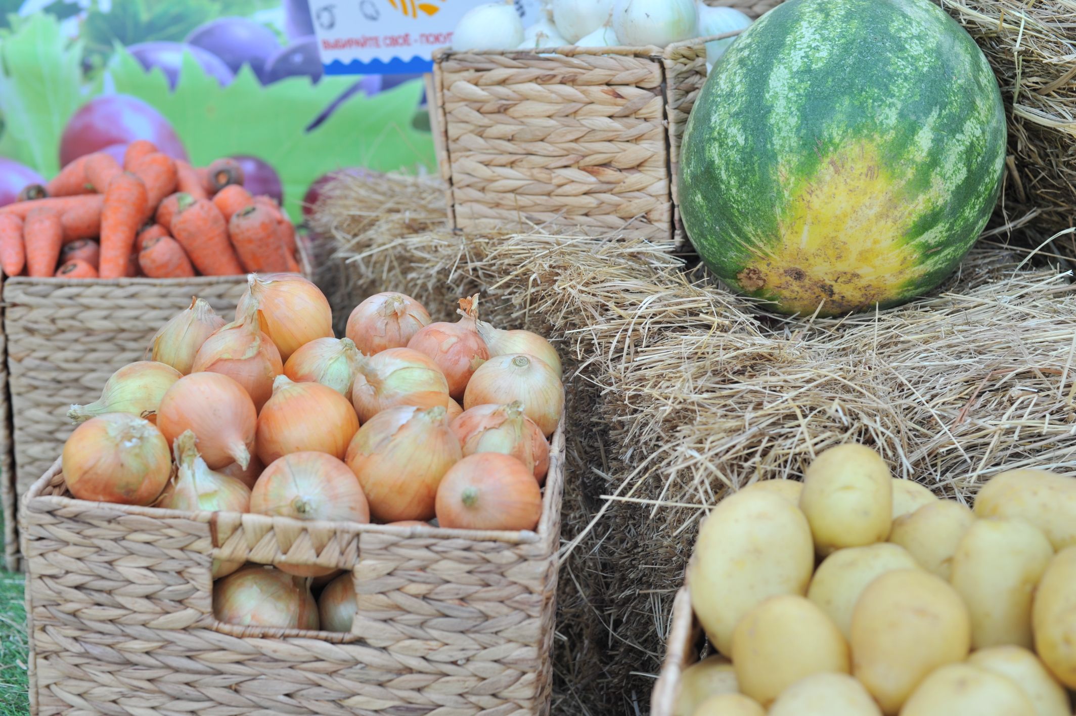 Новый агроагрегатор для сбыта фермерской продукции создан на Дону