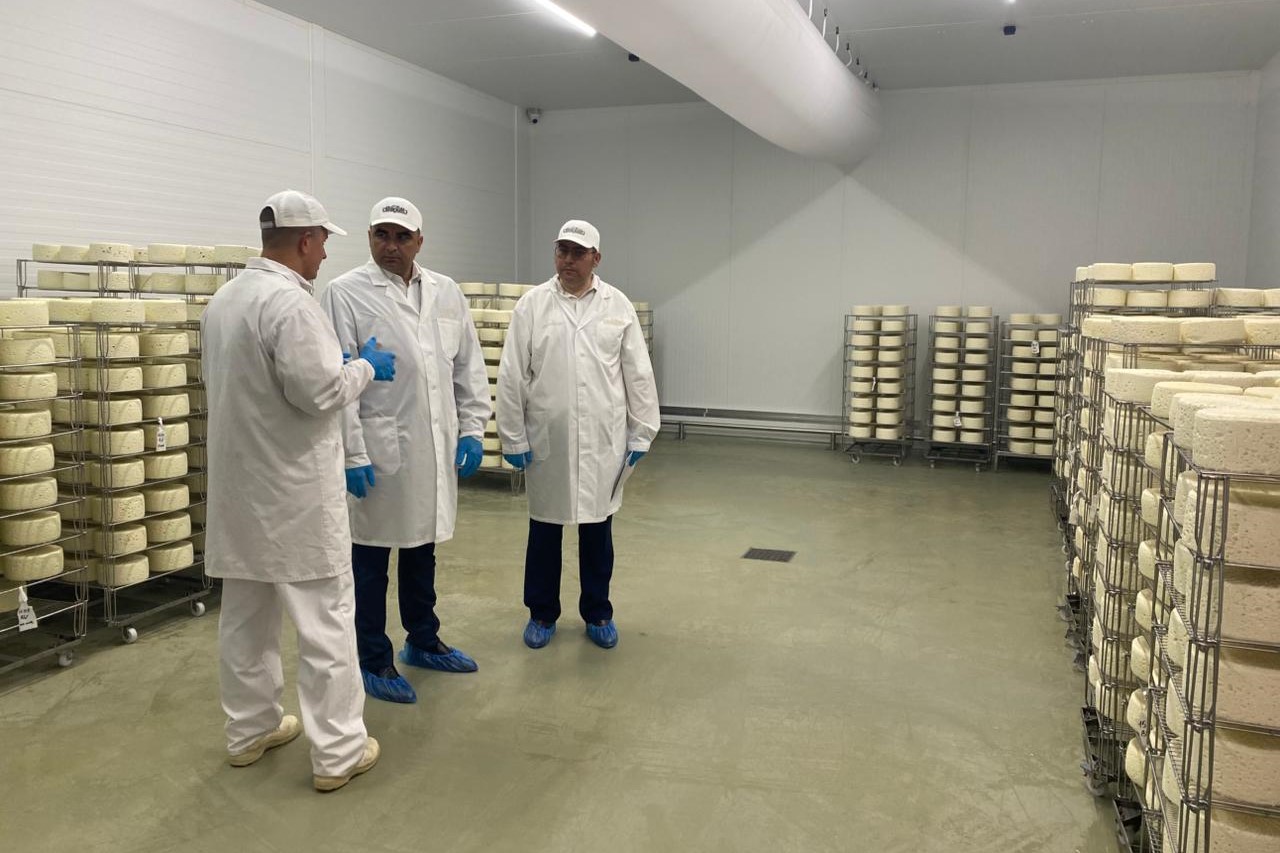 Донские животноводы могут получить господдержку на содержание крупного и мелкого рогатого скота