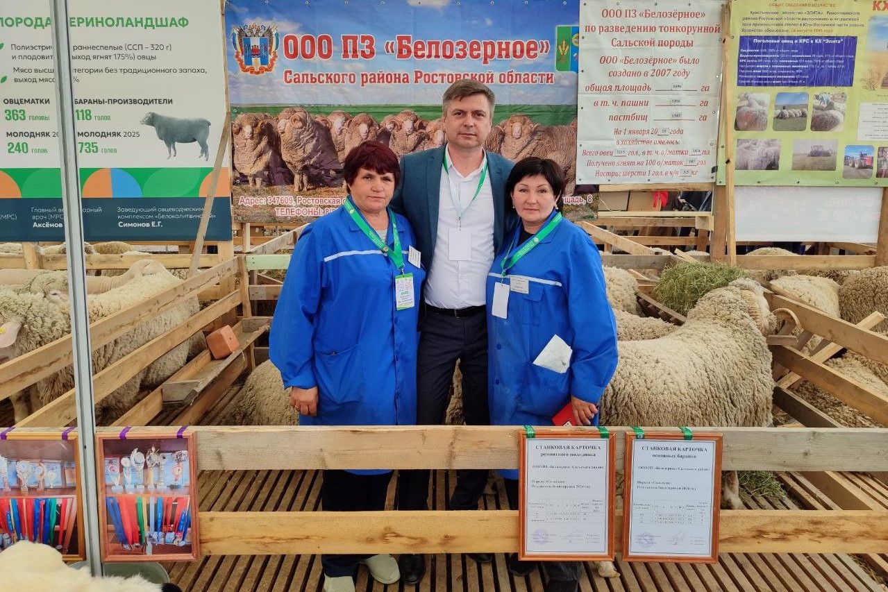 Донские овцеводы завоевали девять медалей на Российской выставке племенных овец и коз