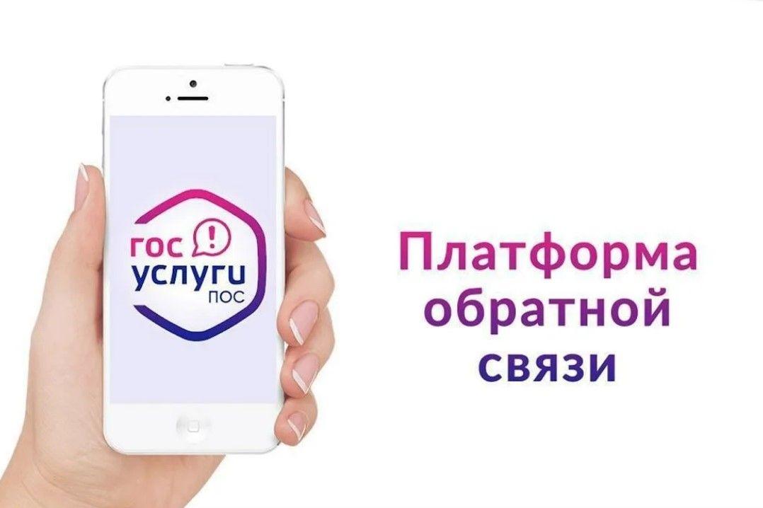 Ростовская область остается лидером по развитию «Платформы обратной связи»